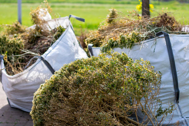 Attic Cleanout Services in Lenoir City, TN